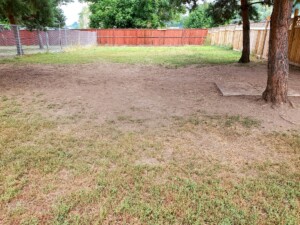 Another angle of Yard 1